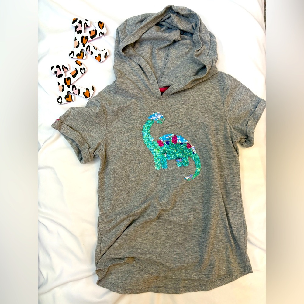 Gray Dinosaur Hoodie T-Shirt for Kids